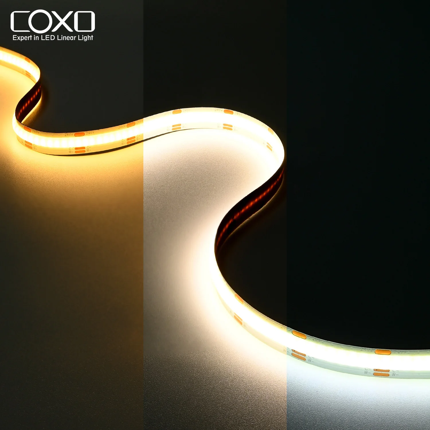 COXO 3 Years Warranty cct three colour cob led strip 608led 10mm wide 12v 24v Double Color cct cob led strip