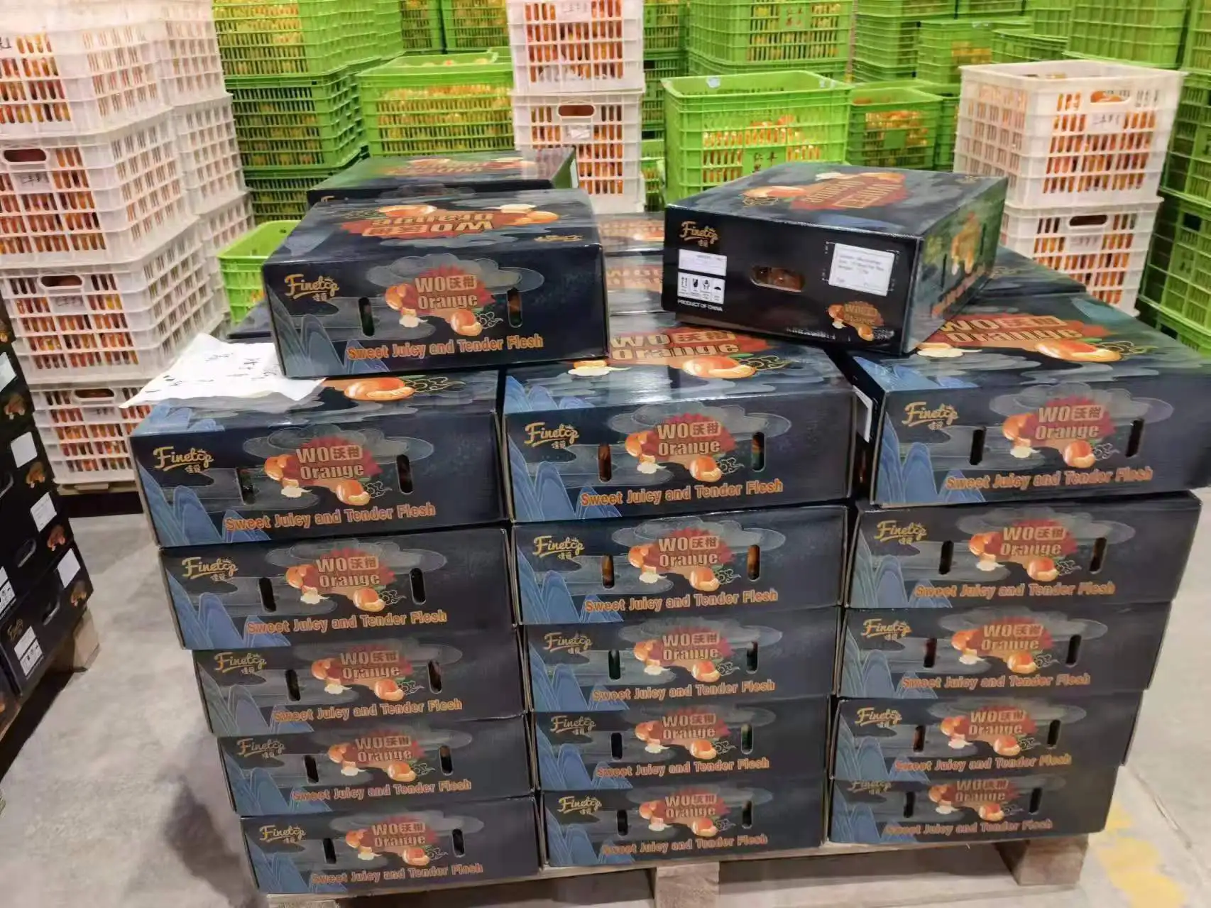 New Citrus Mandarin New Crop Fresh Juicy Orange