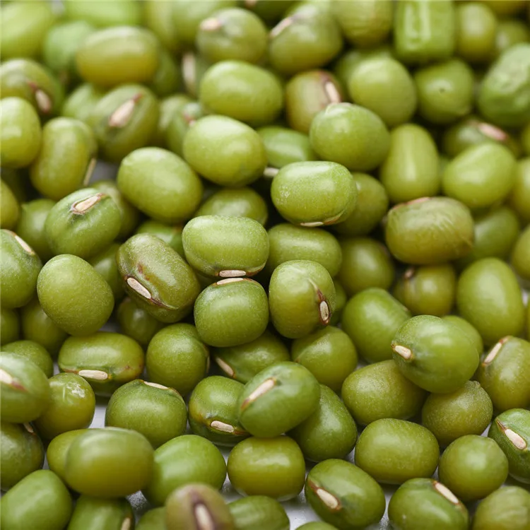  Factory Price Small Mung Bean Vacuum Packing Export Green