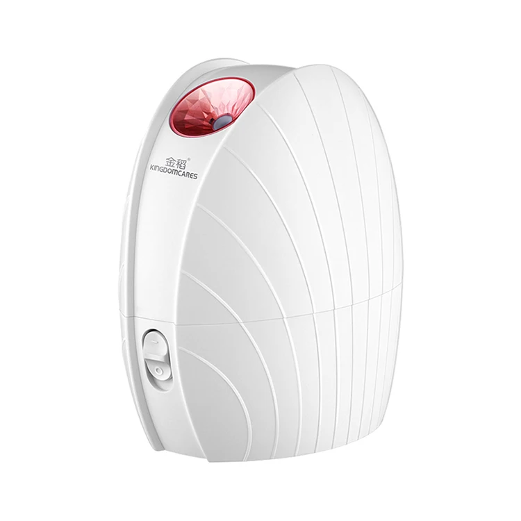 KSKIN Portable electric nano ionic professional facial steamer