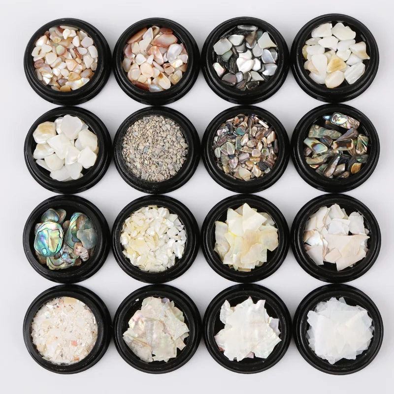 3D Real Seashell Nail Art Designs Colorful Marine Nail Decorations Irregular Flakes for Nails