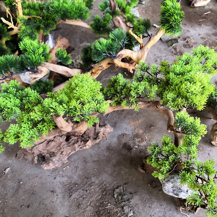 Оптовая продажа аквариумные натуральные растения