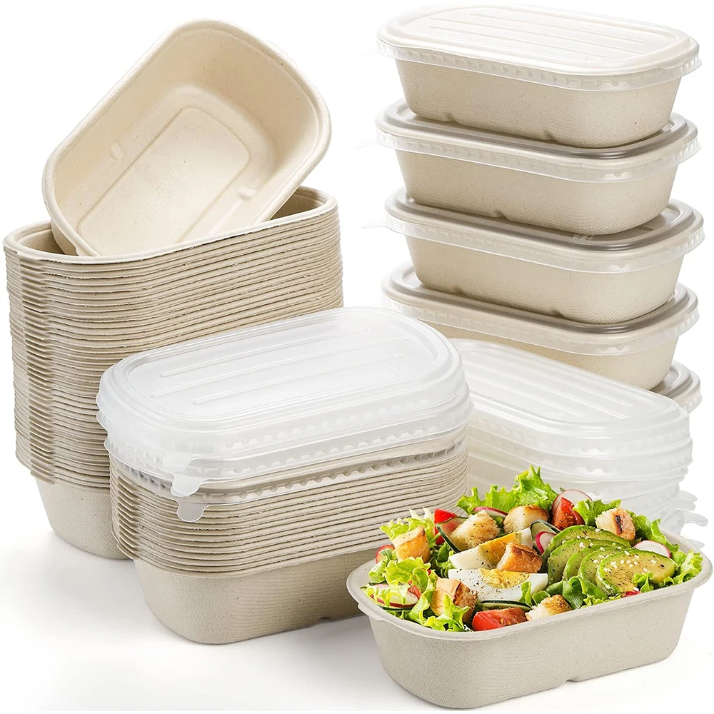 Hot Selling Disposable 750ml Rectangle Biodegradable Food Container Sugarcane Bagasse 2 Compartment Box with