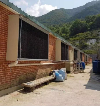 Washable Expanded Evaporative Core honeycomb filter Pad air Cooler Pad