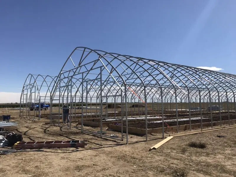 greenhouse complete structure light blackout greenhouse fully automated hemp invernadero agriculture greenhouse