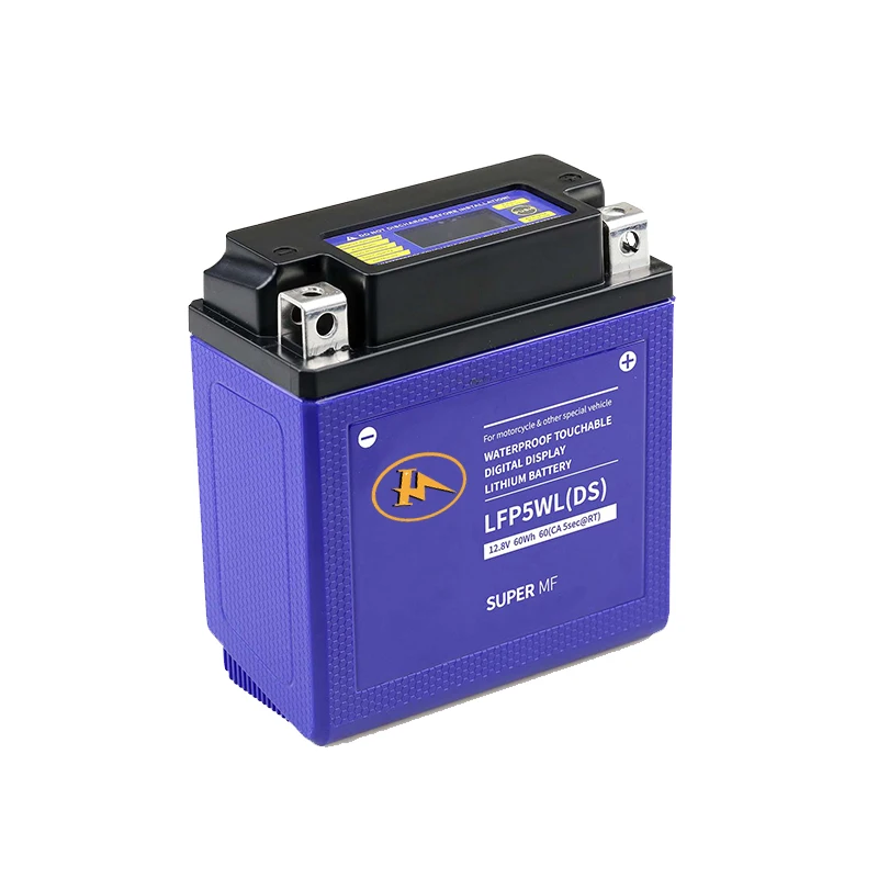 OEM/ODM 18650 lithium battery rechargeable batteries lifepo4 12v 100ah lithium ion battery