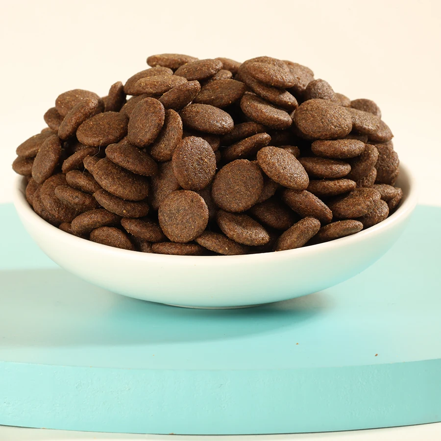 Alimentos para mascotas China hot sale high protein best price pet food dry cat food