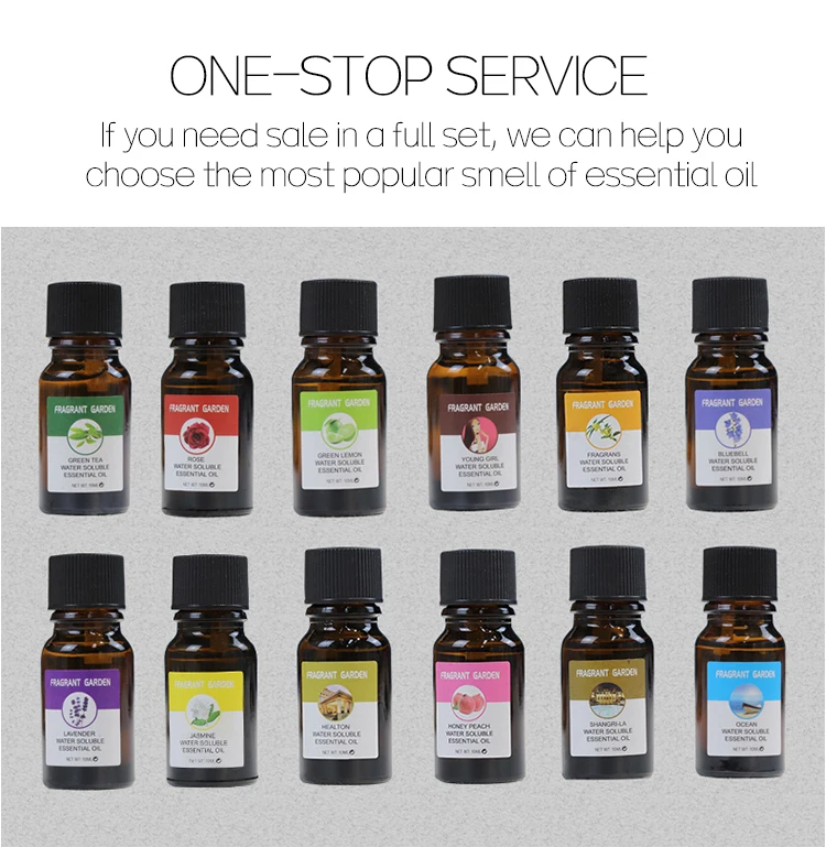 New Product Electric air perfume aromatherapy atomizer diffuser essential oil aroma diffuser