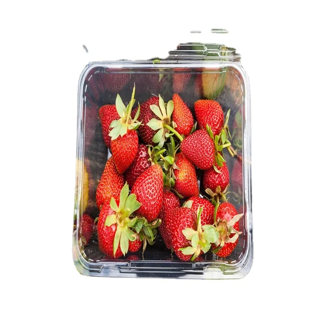 Новый продукт жесткий ПЭТГ пластиковый лист рулон толщиной 0 5-1 мм GAG термоформованный ПЭТ