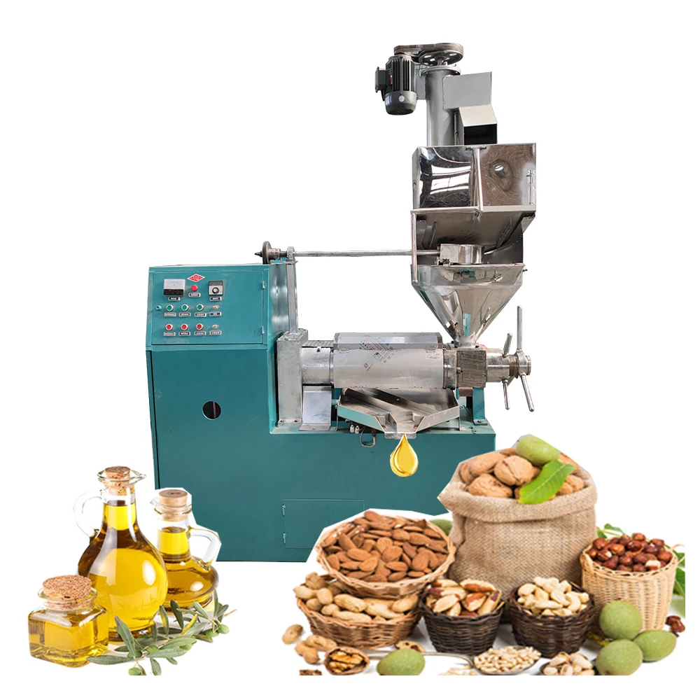 High-Performance 300kg/h Sesame Screw Oil Press Machine