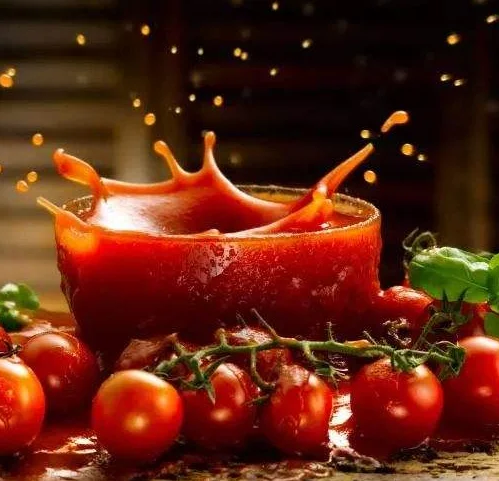 high quality top delicious sauce sour tomato sauce flat sachet 70g in cheap price