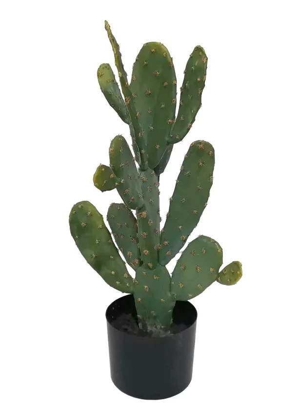 Hot Selling Cheap Indoor Tropical Plants Small Potted Desert Plant Bonsai Artificial Succulent Cactus