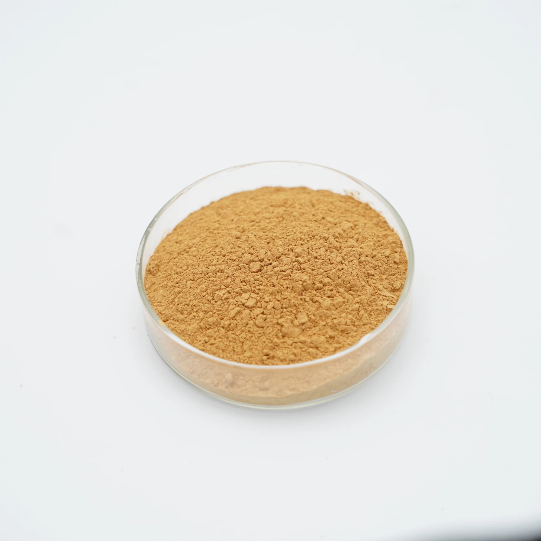 Organic Mango Seed Powder Fresh Natural Flesh Mango Fruit Powder Blended Special Taste  Narcissus Mango Powder