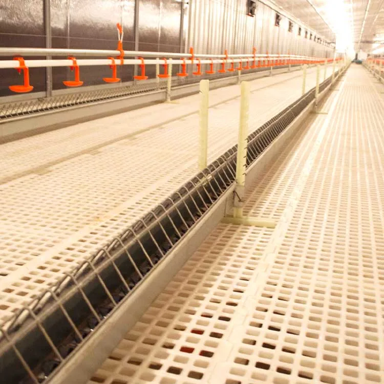 Chicken Chain Line Automatic Chain Feeder Breeder Feeding System Poultry Hens Free Range Farming Equipment