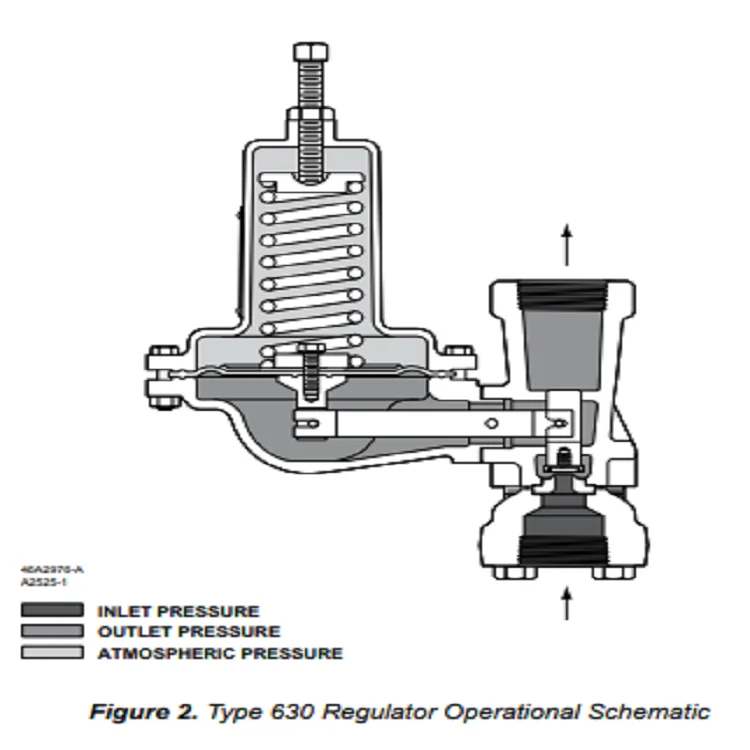 Natural Gas Valve Skid Emerson Fisher Type 630 Regulator WIKA pressure gauge