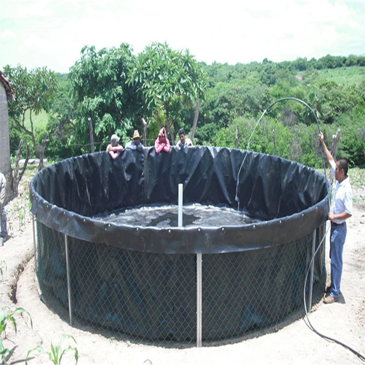 1.0mm Geomembrane Fish Tank Pond Liner for Aquaculture in Sri Lanka