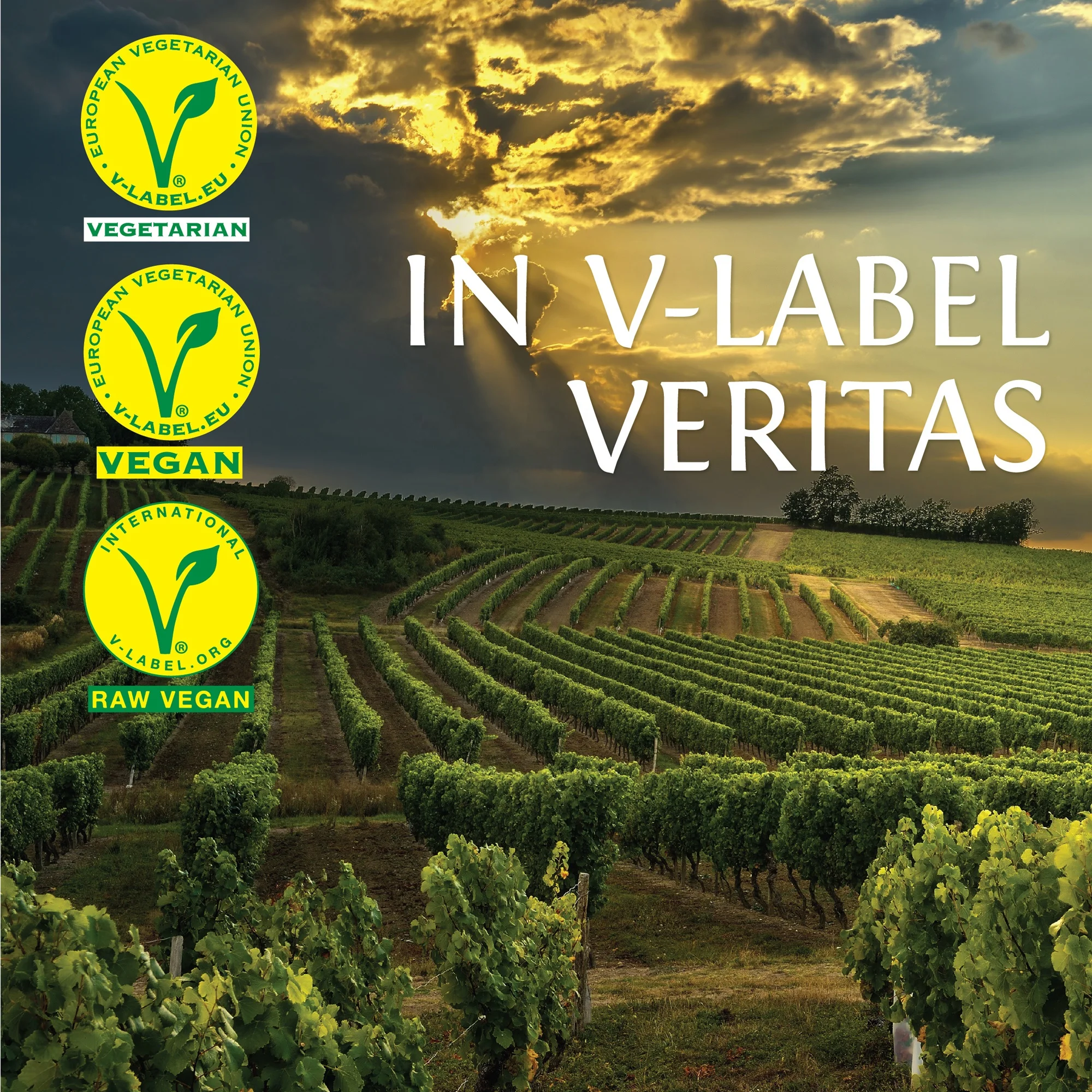 V-Label - Made in Italy Raw Vegan Certification - Raw Vegan approved product label - Yellow and Green label