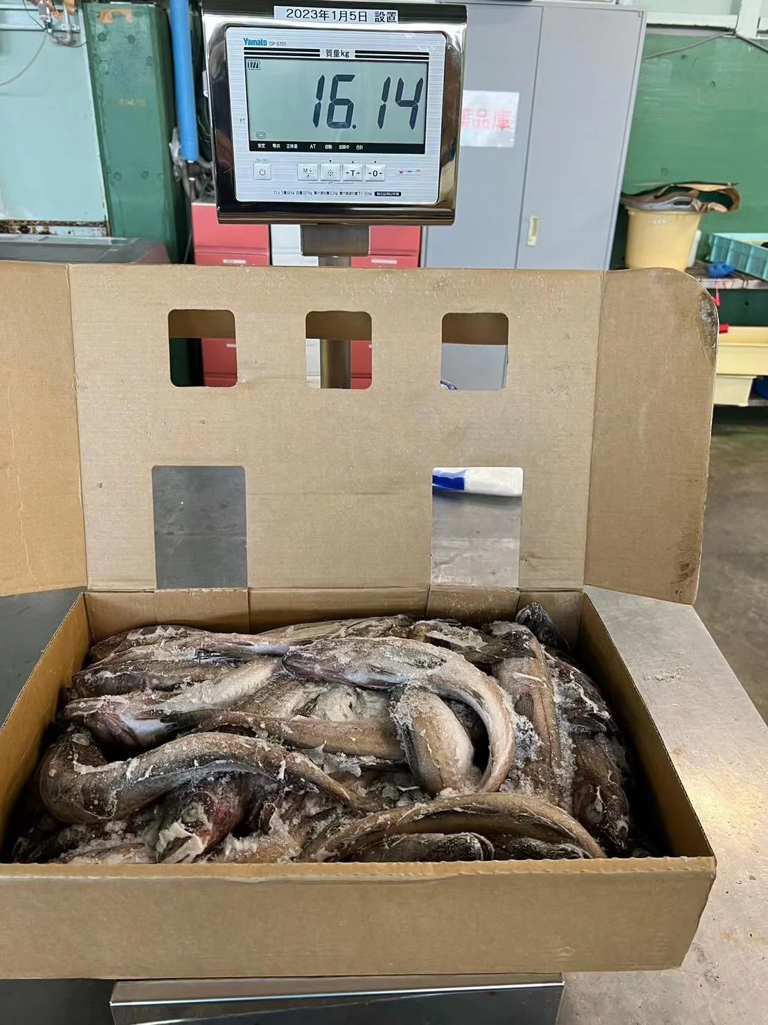 High Quality Japan Origin 300-500g Alaska Frozen Pollock Fish