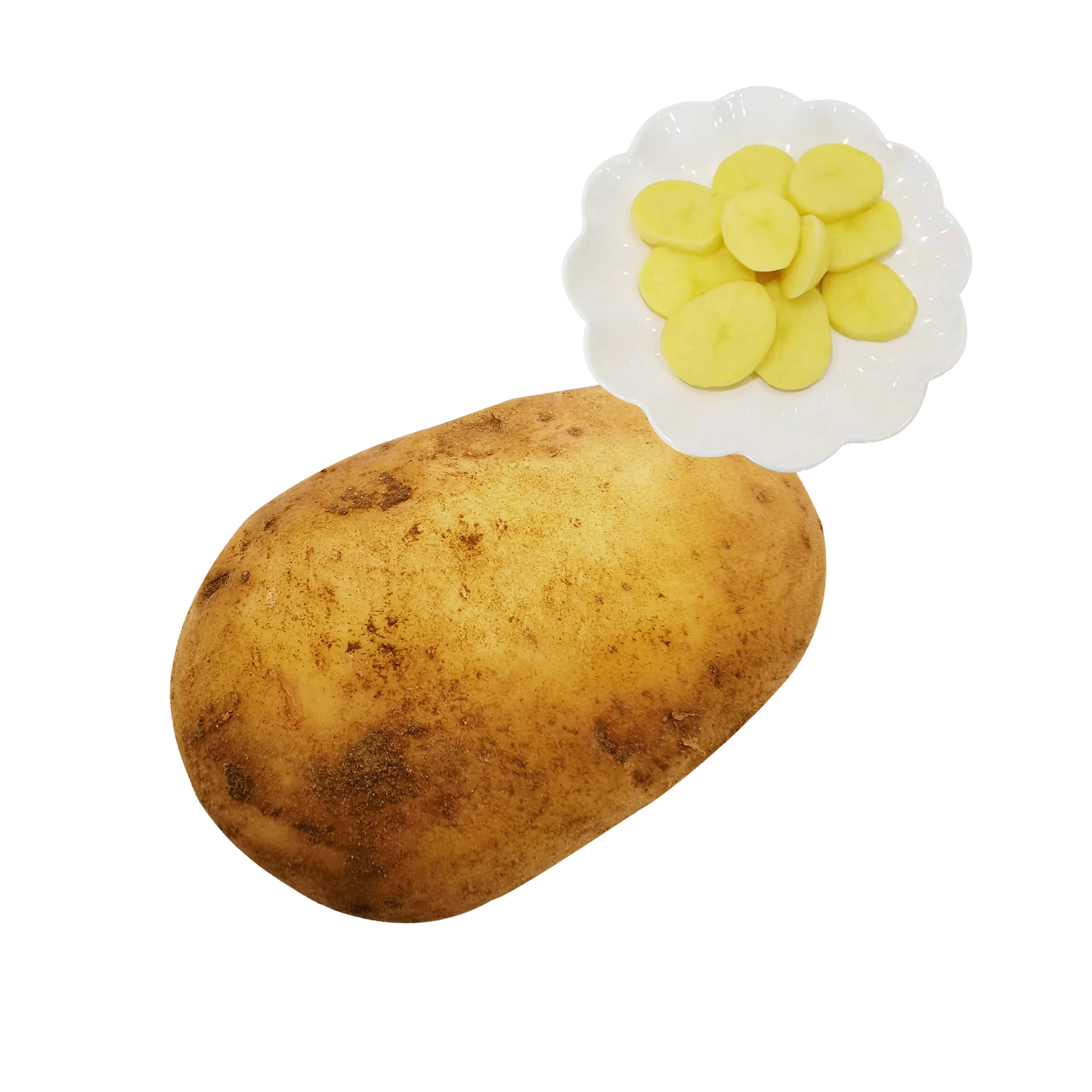 Hot selling High Quality Fresh China Potato Seed Potatoes for Sale