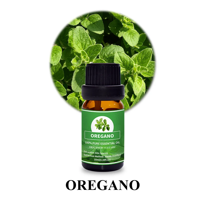 Manufacturers Wholesale Trade Bulk Price Private Label 100% Natural Organic Wild Oregano Essential Oil, Pure Oil Of Oregano