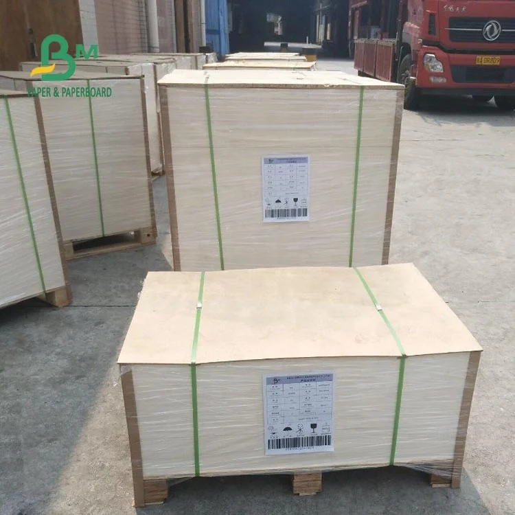 190gsm 210gsm Single PE Coated Cup Paper For Noodles Box Recyclable