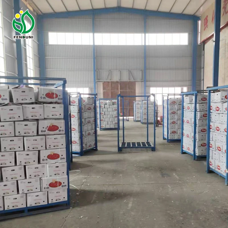 Shandong Chinese Fresh Garlic Supplier  for Sales 200g/250g/500g 1kg Per bag