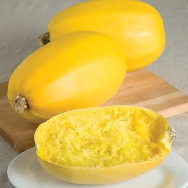 Fresh Organic Spaguetti Squash Pumpkin