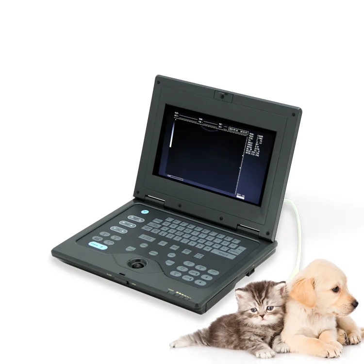 CONTEC CMS600P-VET portable animal ultrasound scanner vet equipment