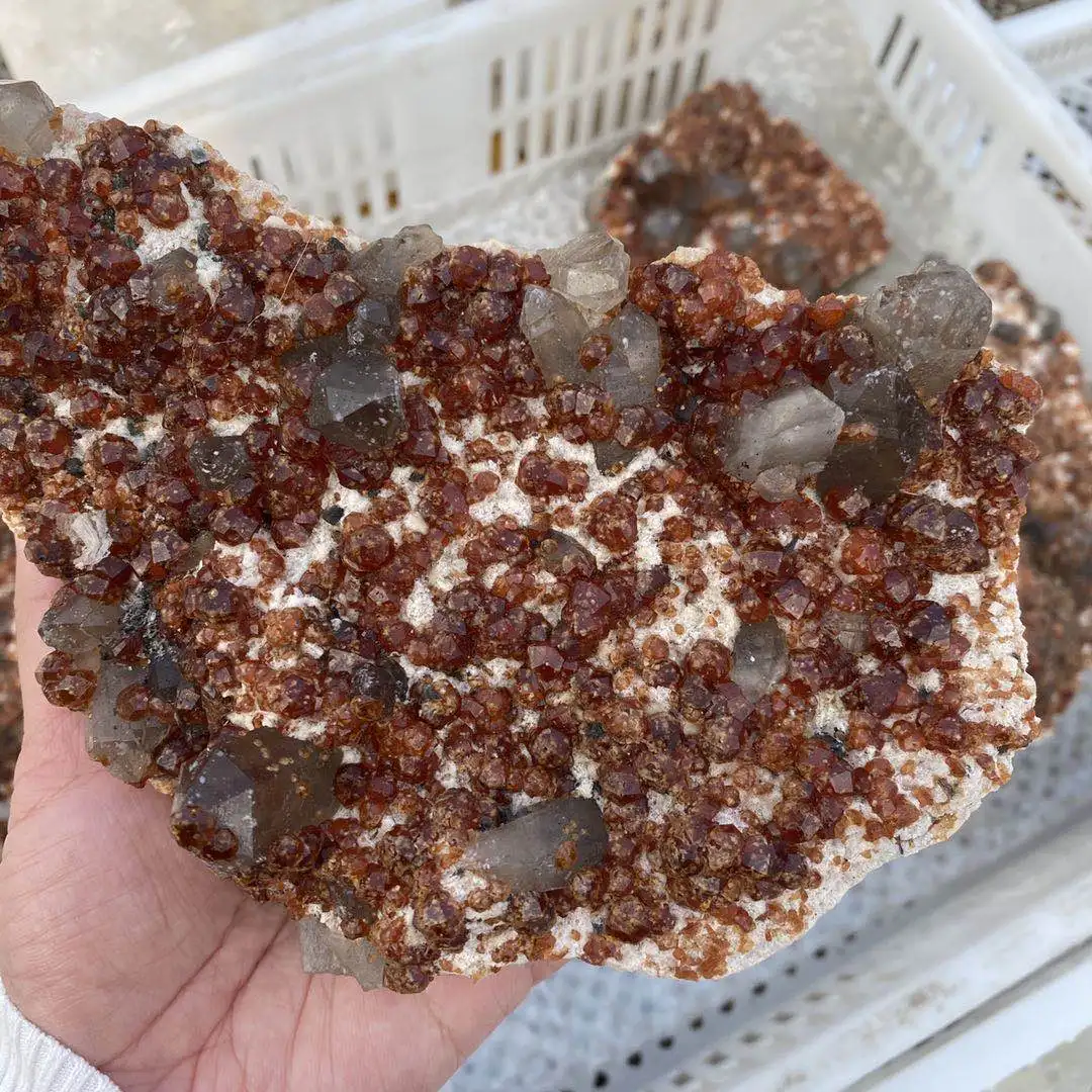 Natural garnet mineral specimen raw garnet garnet cluster rough specimen