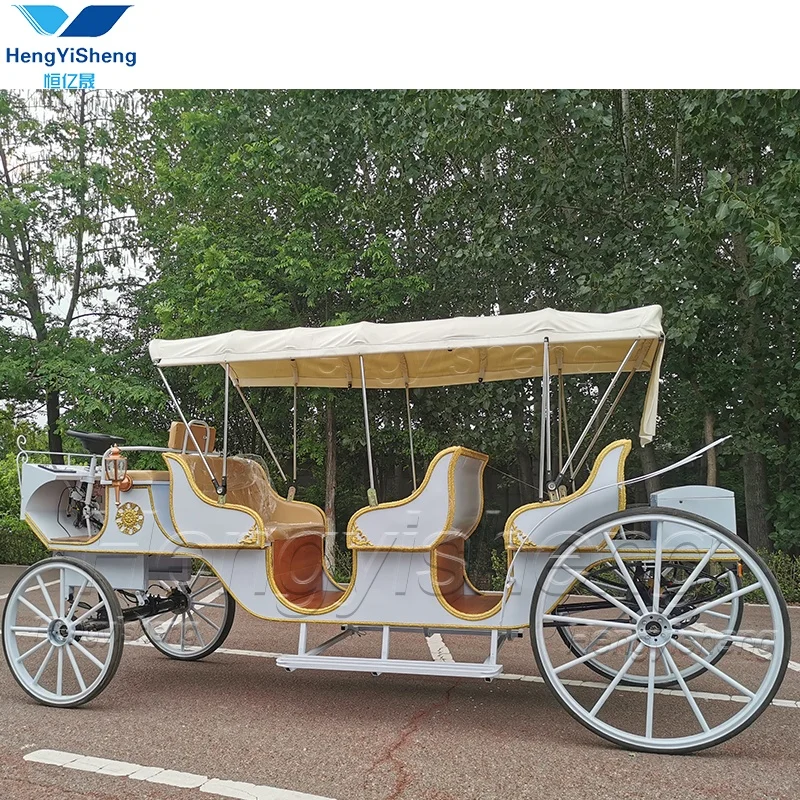 Electric Luxury three-row  Sightseeing Drawn Horse Carriage/Special Transportation  tourism Horse  Carriage
