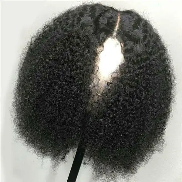 Transparent 200 Density Hd Lace Wig Mongolian Afro Kinky Curly Wig For Black Women Natural Afro Hair Wigs Human Hair Lace Front