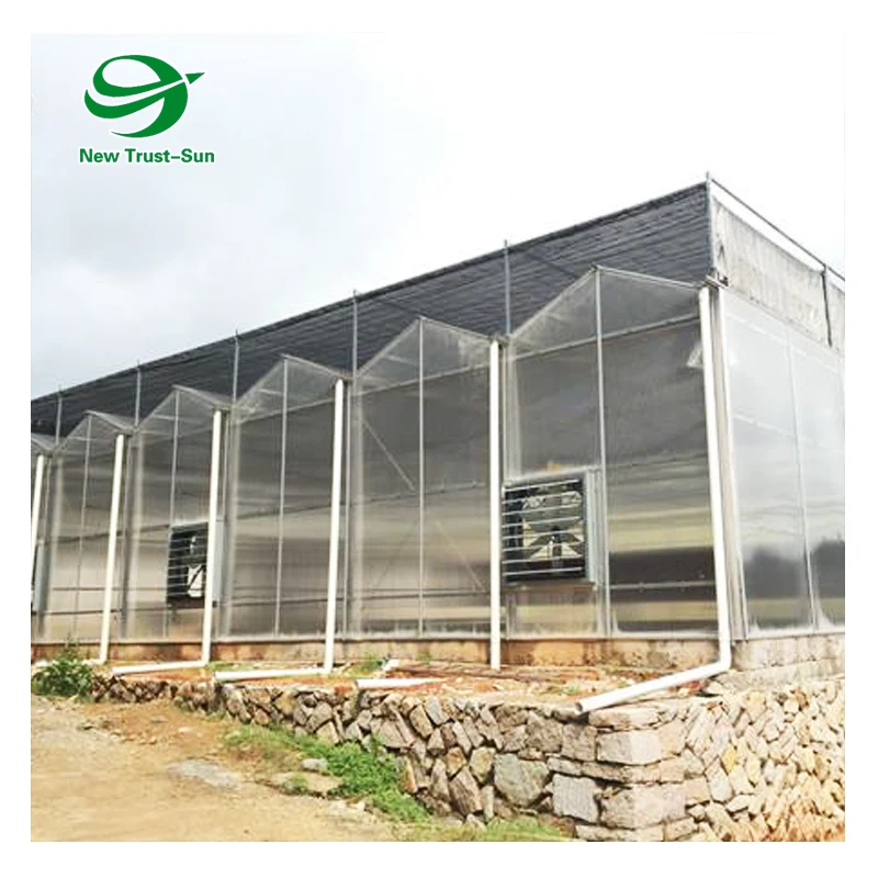 
Complete Large Strawberry hydroponic polycarbonate sheet Multifunctional Agriculture Greenhouse 