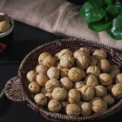 nuez factory supply xinjiang dry fruit raw walnut paper shell