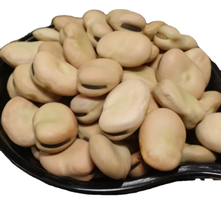 
 Лидер продаж, широкая фасоль faba с сильным вкусом, зерно и питание  