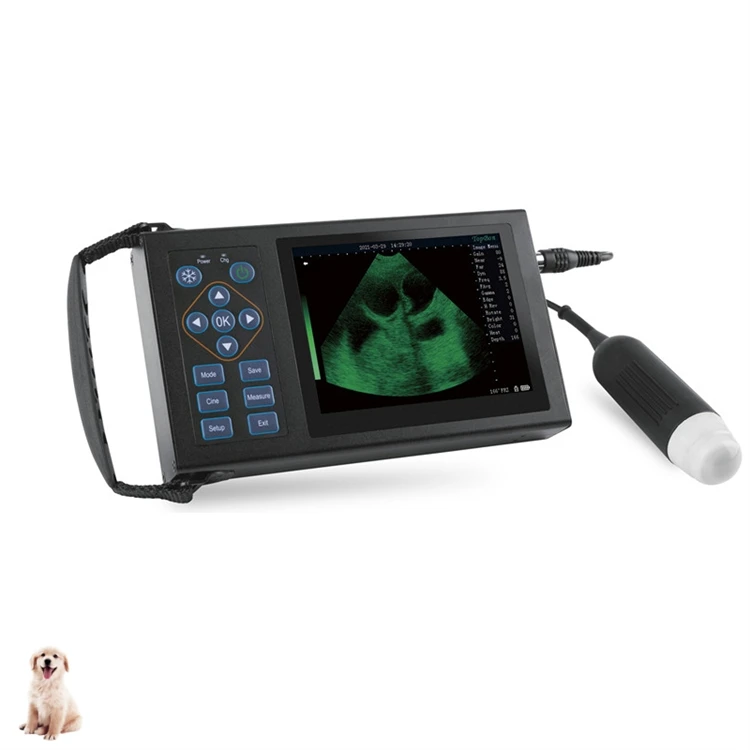 Cehot Selling Pregnancy Scan Veterinary Machine Portable Ultrasound B Ultrasound For Swine And Sheep