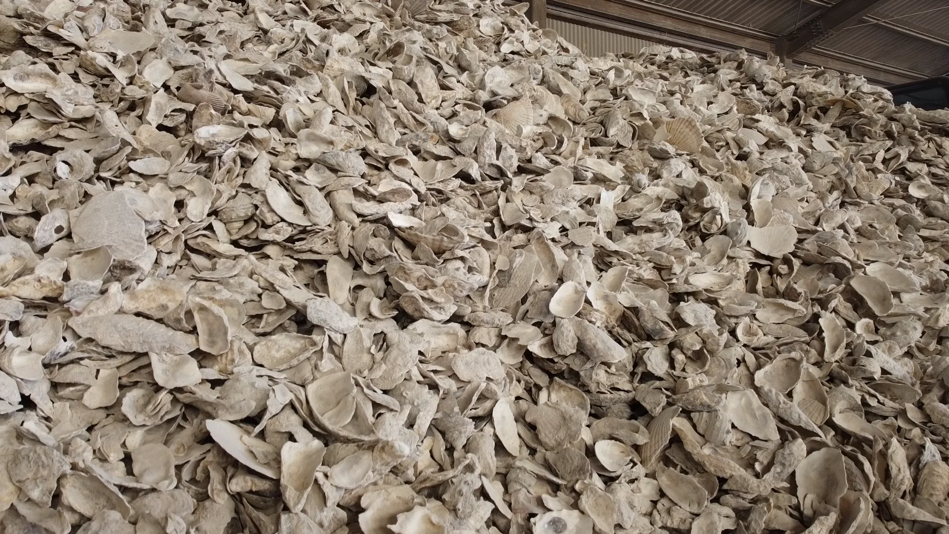 Japanese Soluble Organic Calcium Silicate Slow Release Fertilizer