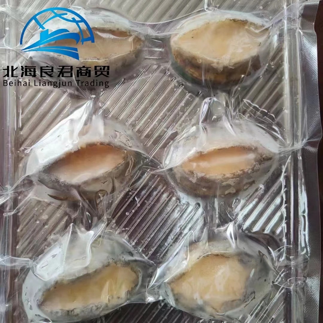Wholesale new seafood products from China nutritious and delicious abalone food frozen seasonal plate haliotis discus hannai