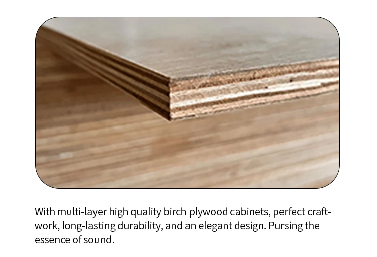 HLA BW-515 15 Inch Passive Full Range 2 Way Speakers  Outdoor Indoor Professional Audio System