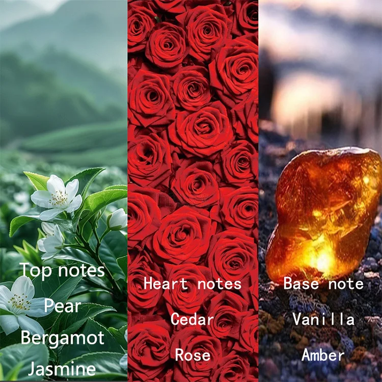 Miss Adventure Ladies Perfume Stay French Student Eau de Toilette, the perfume exudes a warm, cozy atmosphere