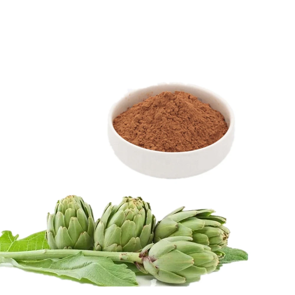 High Quality Artichoke leaf extract Cynatine 5% Powder for cholesterol