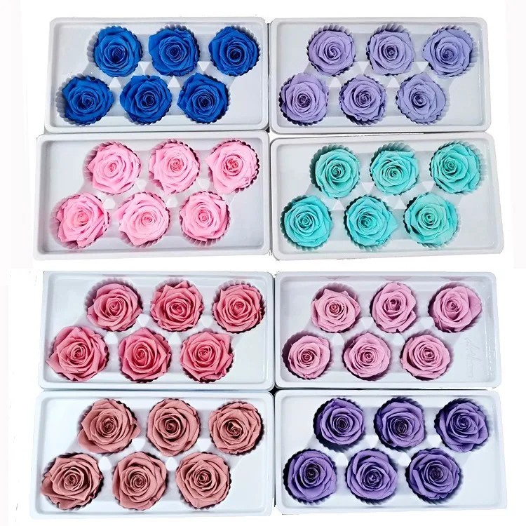 
China factory wholesale 5-6cm rosas preservadas al por mayor ecuador 