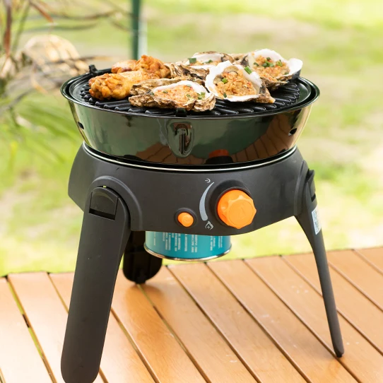 HongQiang Camping Portable American Barbecue Grill For Outdoor Folding BBQ Gas Grill Griddle HQBG0032