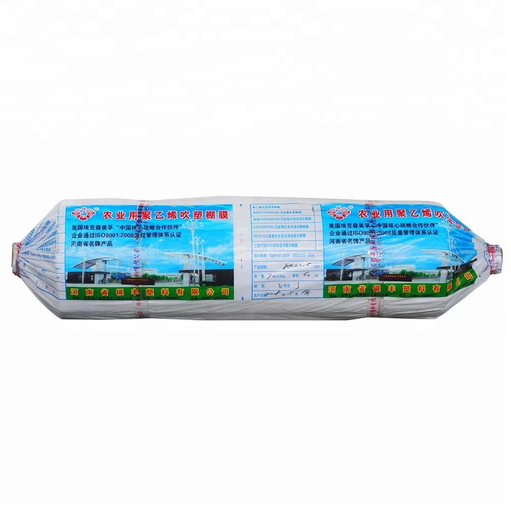 2024 All New Plastic Greenhouse Film for Agriculture Greenhouse Plastic Sheet 200 microns