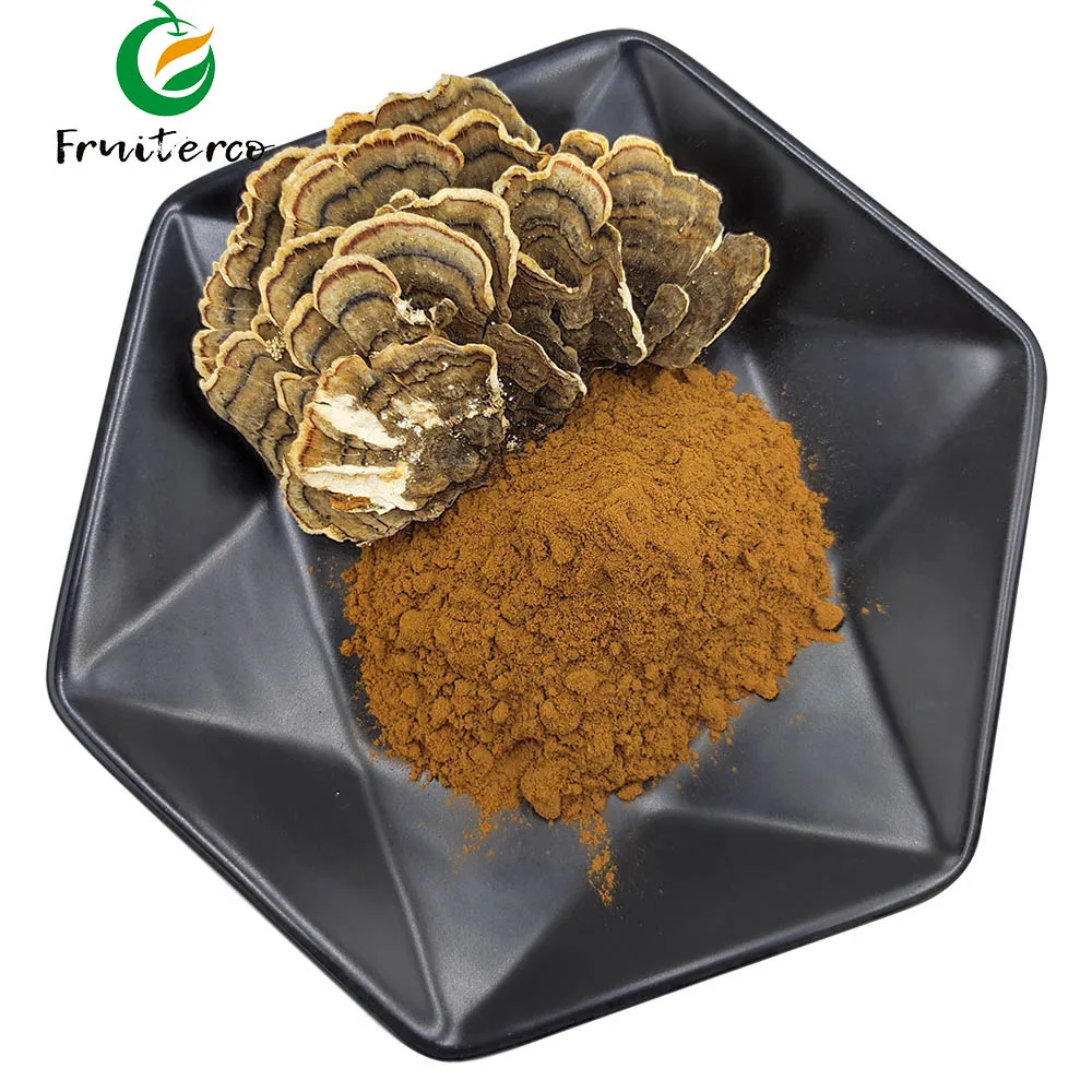 Natural Organic Grifola Frondosa Maitake Mushroom Extract Powder