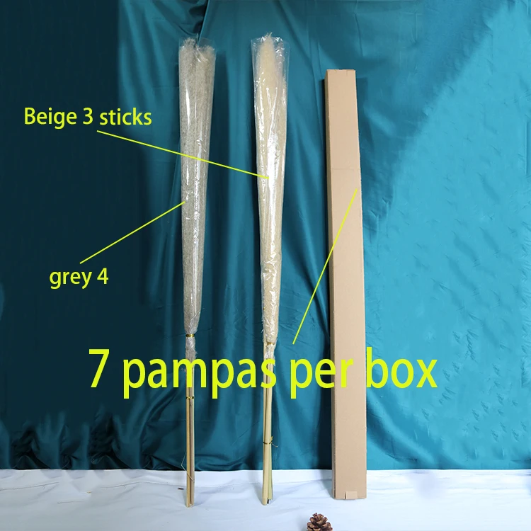 AA-5 2022 New Arrivals Amazon 7 Sticks Natural Decorative Flowers Dried Flower Artificial Flowers Large Pampas Pampa Grass