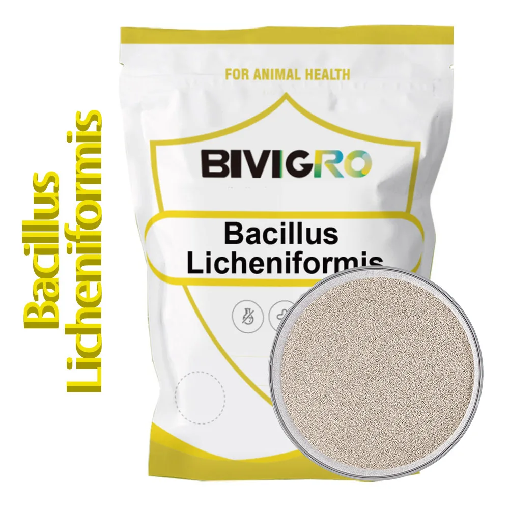 Super Quality Aquatic Probiotics Powder For Aquaculture Bacillus Subtilis Bacillus Licheniformis