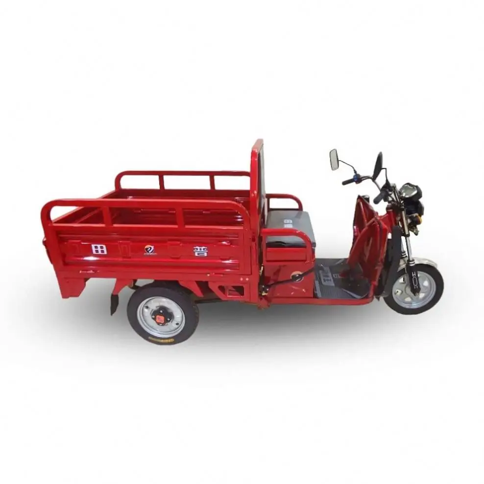 Well 1.5M Trike 300cc 60V Electric 3 Wheel Motorcycles for Adults Cargo Bike 1000kw Gn 125 Motorcycle