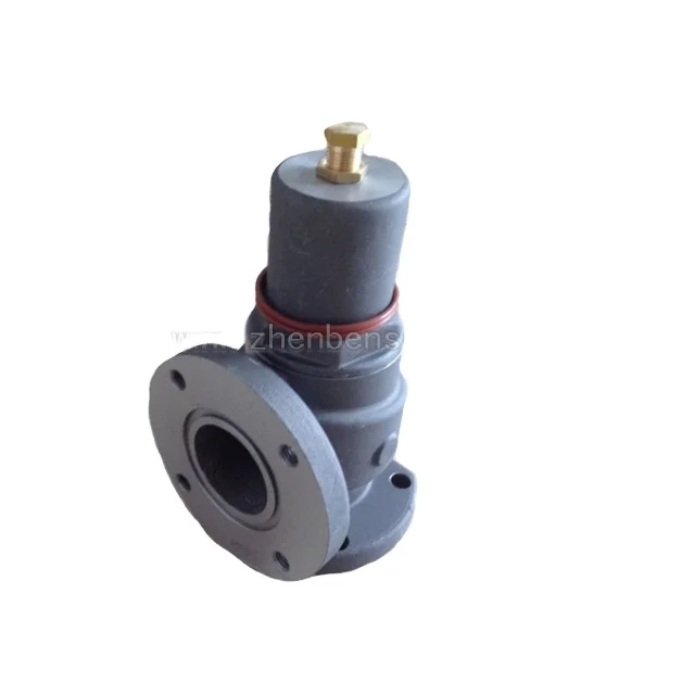 Bolaite air compressor Liutech air compressor minimum pressure valve  2205170301 1625166224