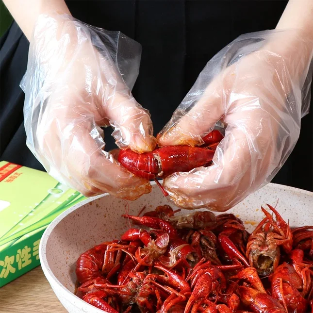 Multi Function Household Cleaning Eating Food Grade Oil Proof Waterproof Disposable PE Plastic Gloves