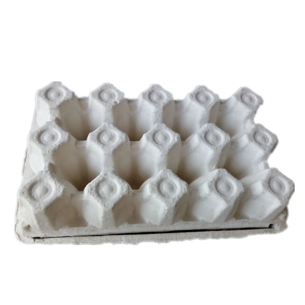 Hot Sale Eco Friendly Biodegradable Molded Pulp 12 egg Paper Quail Eggs Packing Tray Box Cartons